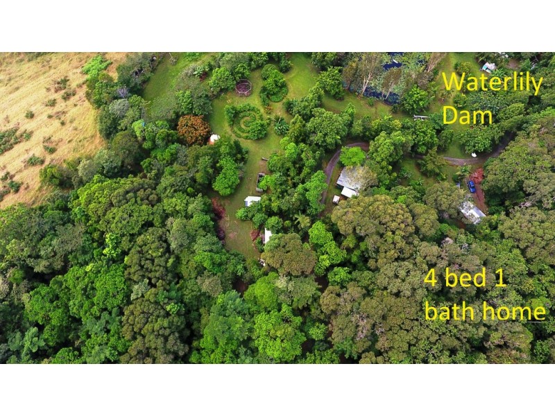 840 Cape Trib Road Kimberley, Daintree QLD 4873