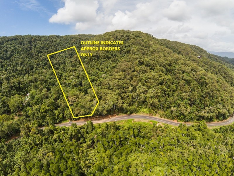 3187 MOSSMAN DAINTREE ROAD, Lower Daintree QLD 4873