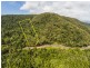 3187 MOSSMAN DAINTREE ROAD, Lower Daintree QLD 4873