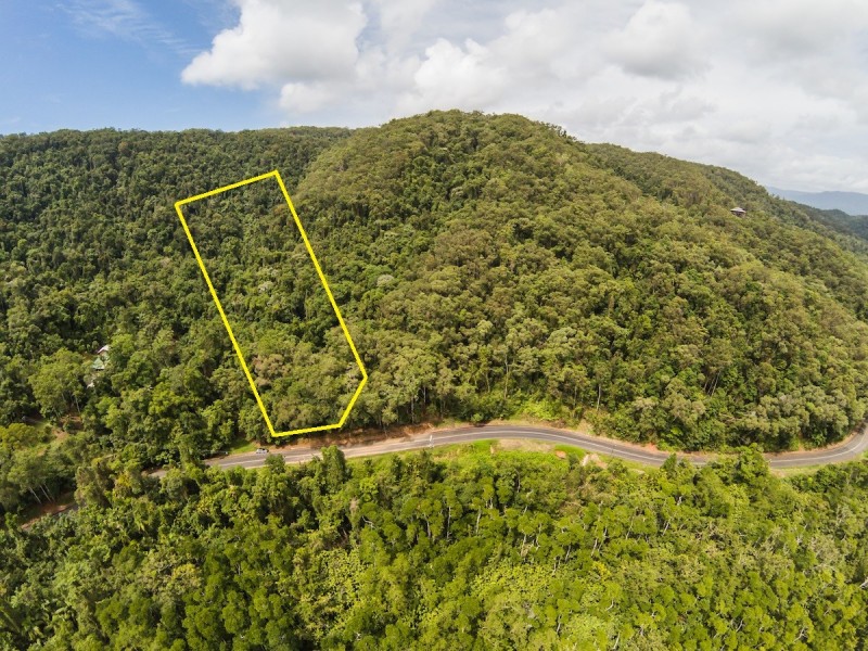 3187 MOSSMAN DAINTREE ROAD, Lower Daintree QLD 4873