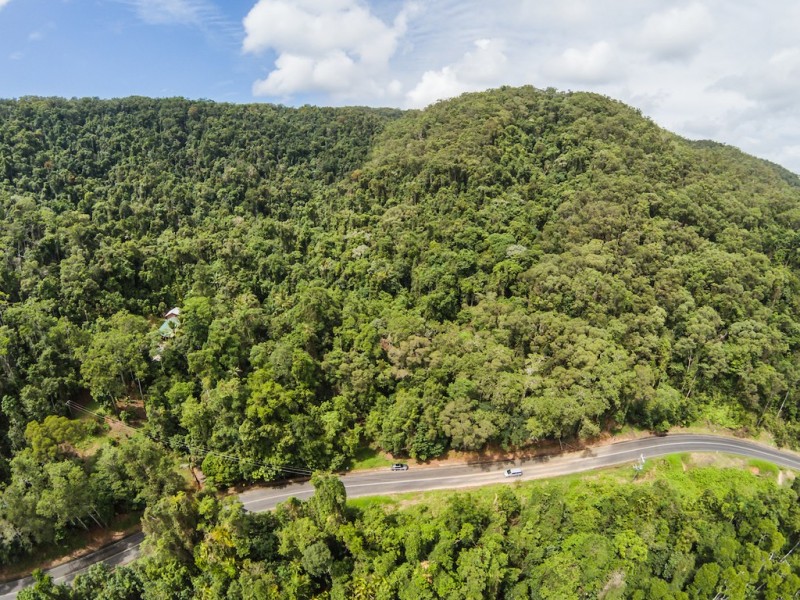 3187 MOSSMAN DAINTREE ROAD, Lower Daintree QLD 4873