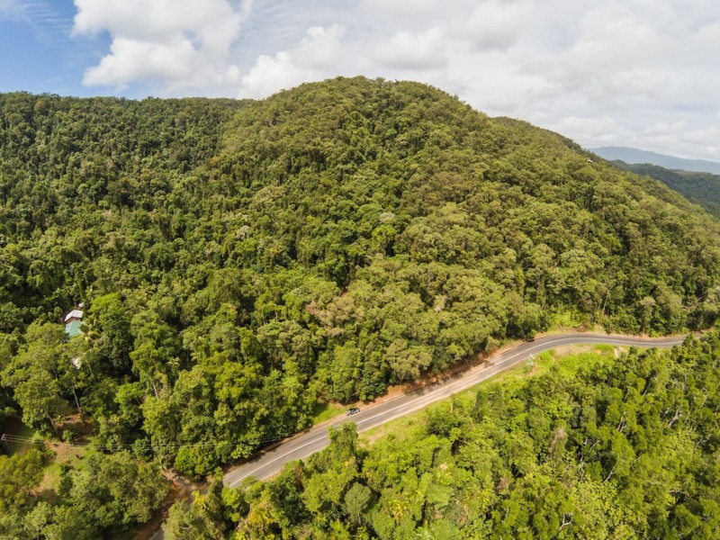 3187 MOSSMAN DAINTREE ROAD, Lower Daintree QLD 4873
