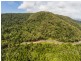 3187 MOSSMAN DAINTREE ROAD, Lower Daintree QLD 4873