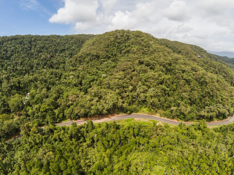 3187 MOSSMAN DAINTREE ROAD, Lower Daintree QLD 4873