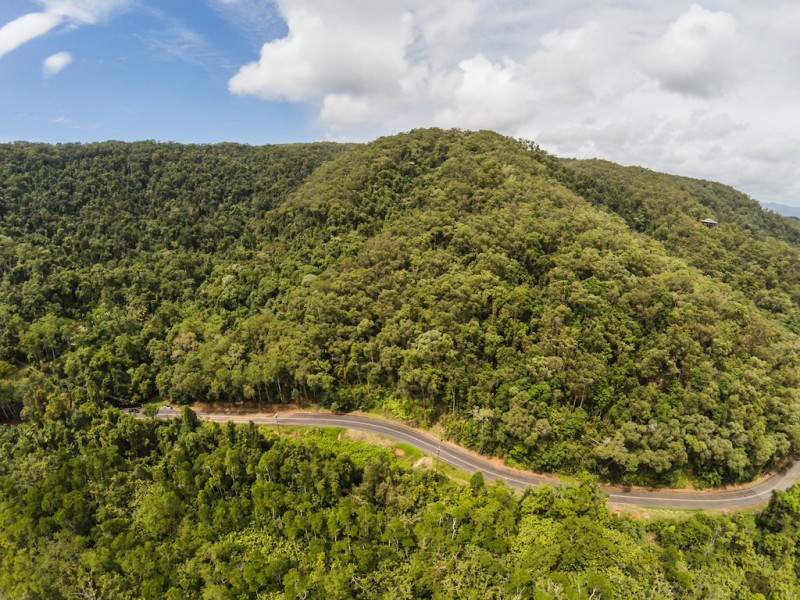 3187 MOSSMAN DAINTREE ROAD, Lower Daintree QLD 4873