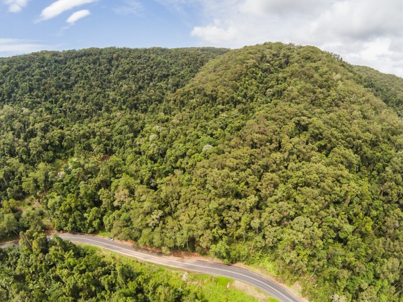 3187 MOSSMAN DAINTREE ROAD, Lower Daintree QLD 4873