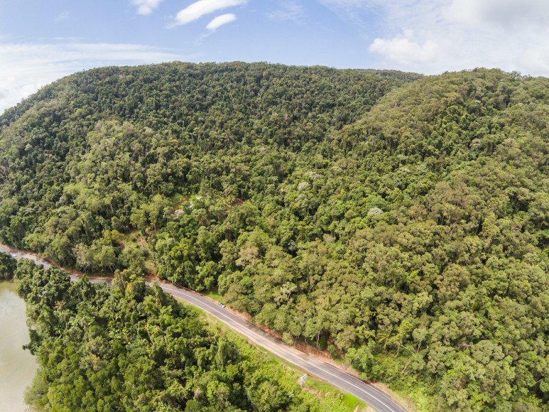 3187 MOSSMAN DAINTREE ROAD, Lower Daintree QLD 4873