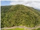 3187 MOSSMAN DAINTREE ROAD, Lower Daintree QLD 4873