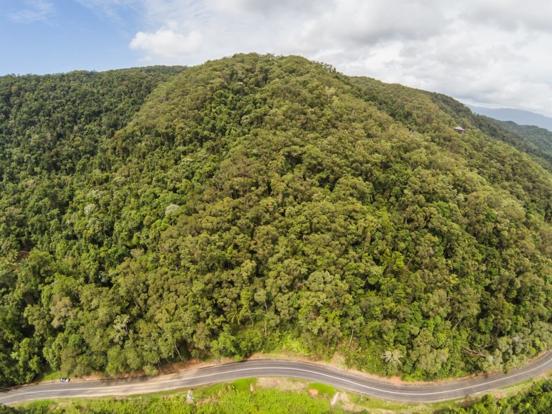 3187 MOSSMAN DAINTREE ROAD, Lower Daintree QLD 4873