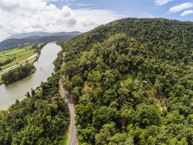 3187 MOSSMAN DAINTREE ROAD, Lower Daintree QLD 4873
