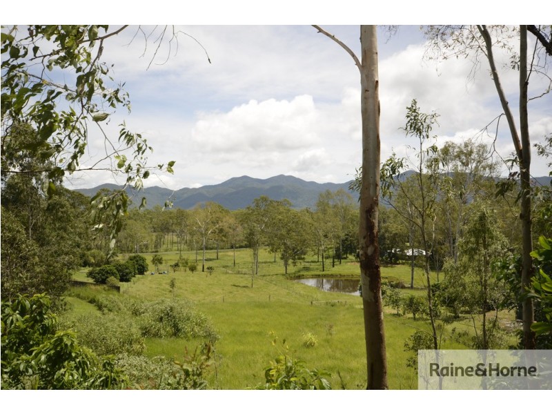 87 MCLEANS BRIDGE ROAD, Julatten QLD 4871