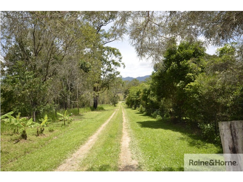 87 MCLEANS BRIDGE ROAD, Julatten QLD 4871