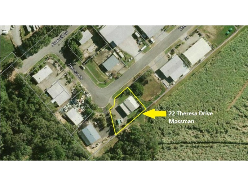 22 THERESA DRIVE, Mossman QLD 4873