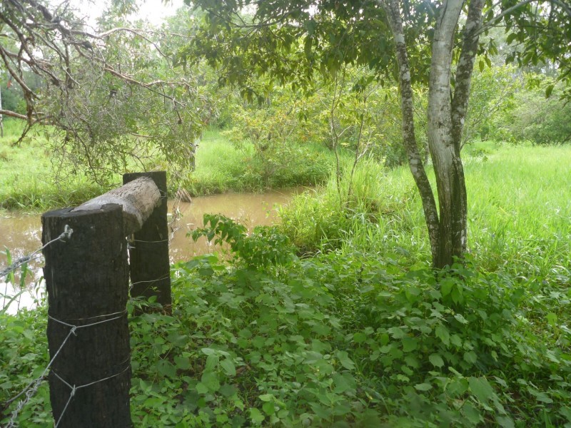 Lot 3 BAKERS ROAD, Mount Molloy QLD 4871