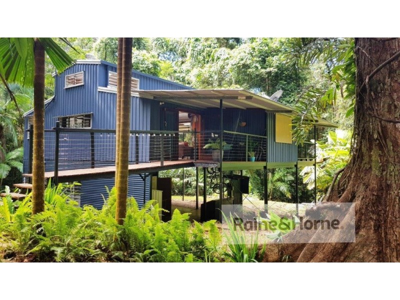 118 Camelot Close Cape Tribulation, Daintree QLD 4873