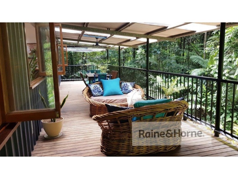118 Camelot Close Cape Tribulation, Daintree QLD 4873