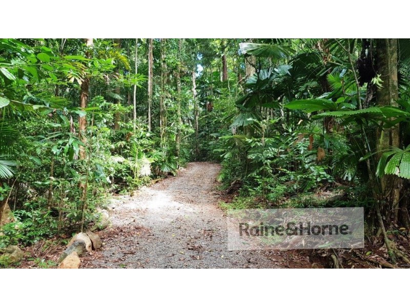 118 Camelot Close Cape Tribulation, Daintree QLD 4873