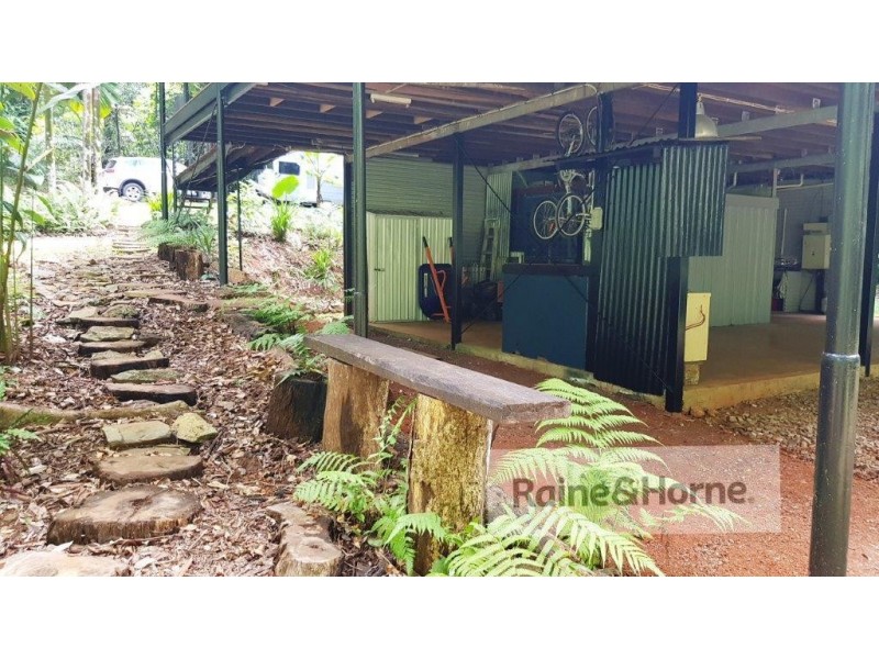 118 Camelot Close Cape Tribulation, Daintree QLD 4873