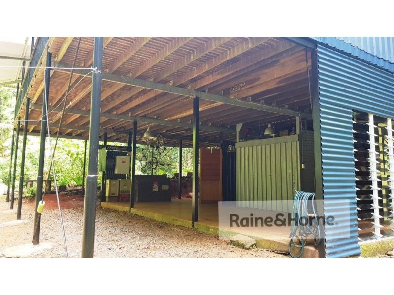 118 Camelot Close Cape Tribulation, Daintree QLD 4873