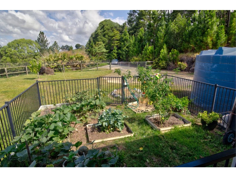 1250 MOSSMAN MOUNT MOLLOY ROAD, Julatten QLD 4871