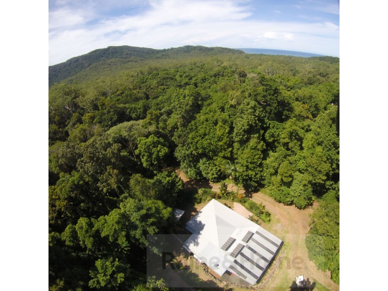 154R Spurwood Road, Cow Bay, Daintree QLD 4873