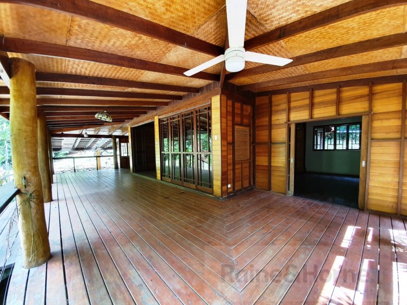 154R Spurwood Road, Cow Bay, Daintree QLD 4873