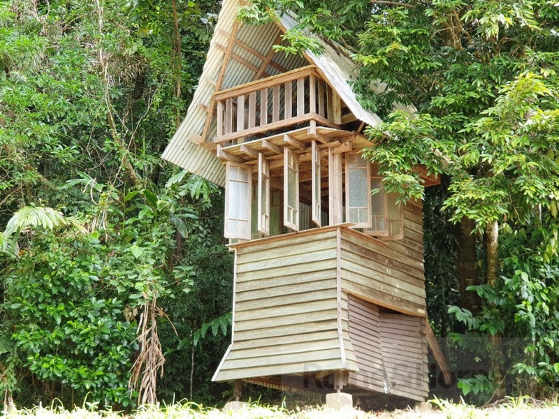154R Spurwood Road, Cow Bay, Daintree QLD 4873