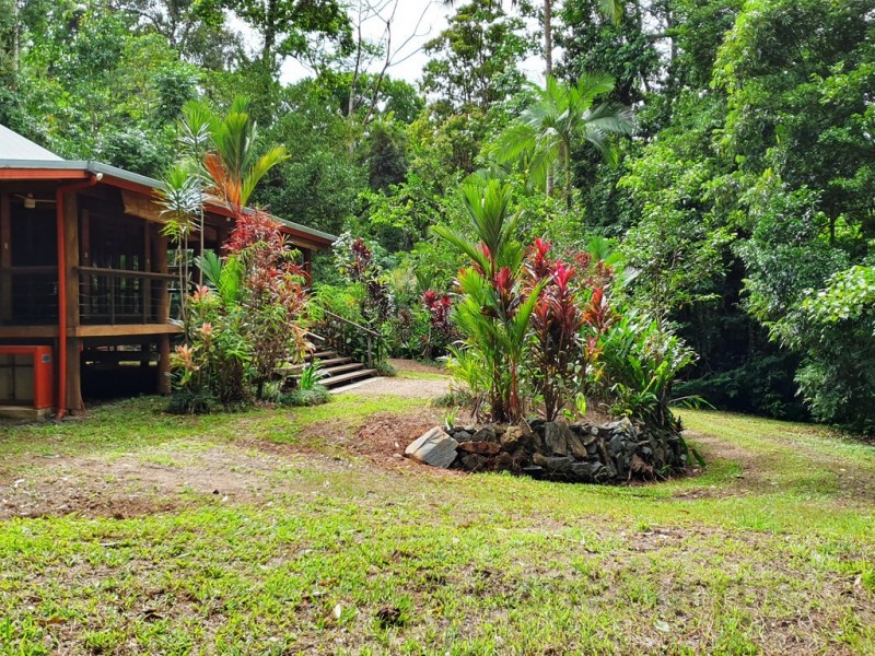 154R Spurwood Road, Cow Bay, Daintree QLD 4873