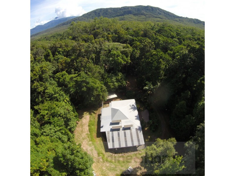 154R Spurwood Road, Cow Bay, Daintree QLD 4873