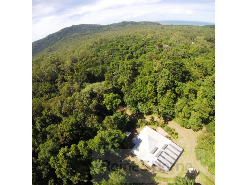 154R Spurwood Road, Cow Bay, Daintree QLD 4873