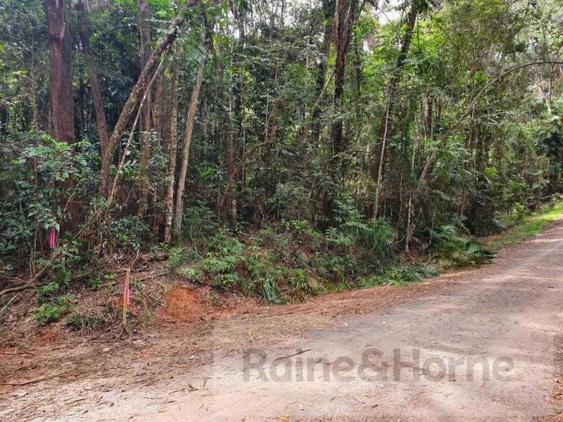 27 Cape Trib Road, Kimberley, Daintree QLD 4873