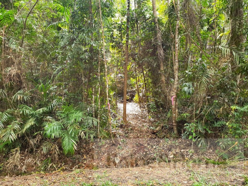 27 Cape Trib Road, Kimberley, Daintree QLD 4873
