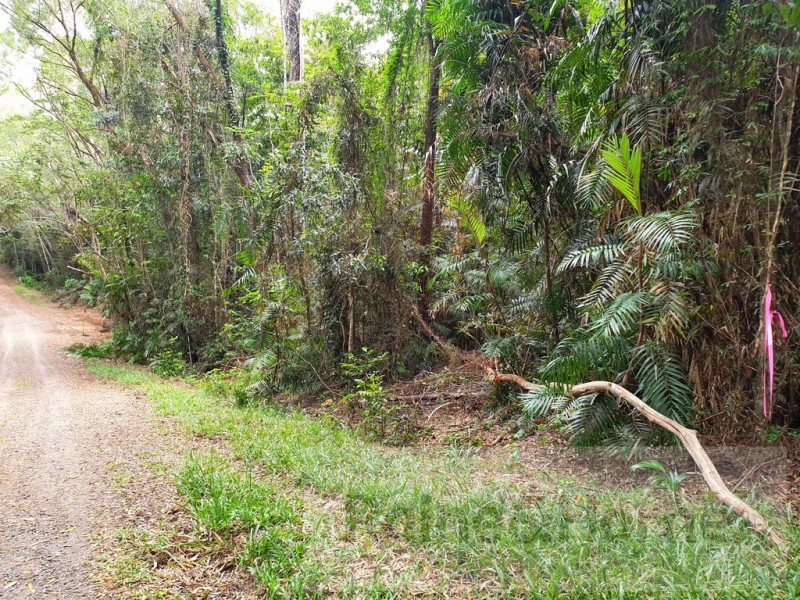 27 Cape Trib Road, Kimberley, Daintree QLD 4873
