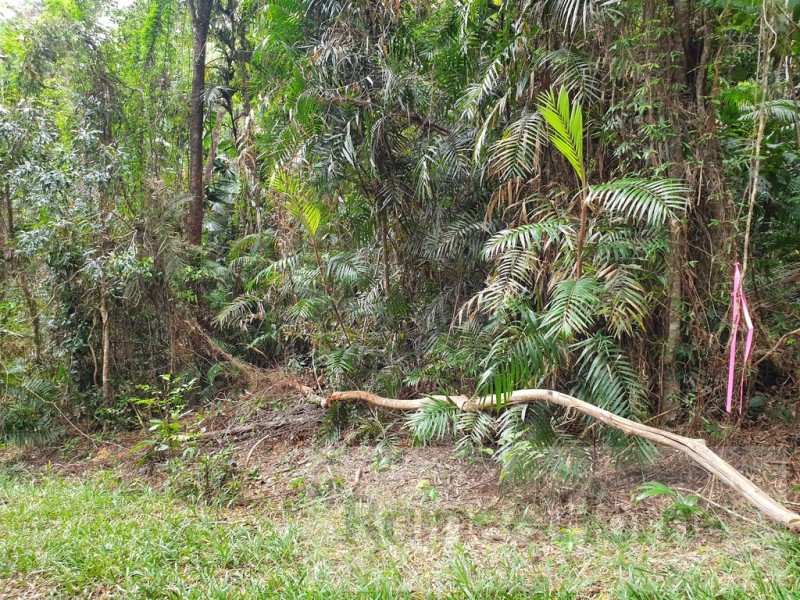 27 Cape Trib Road, Kimberley, Daintree QLD 4873