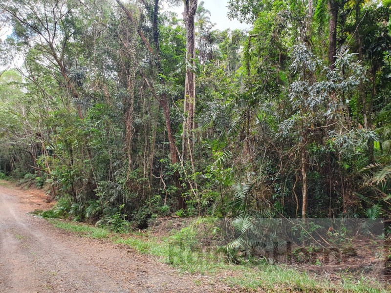 27 Cape Trib Road, Kimberley, Daintree QLD 4873