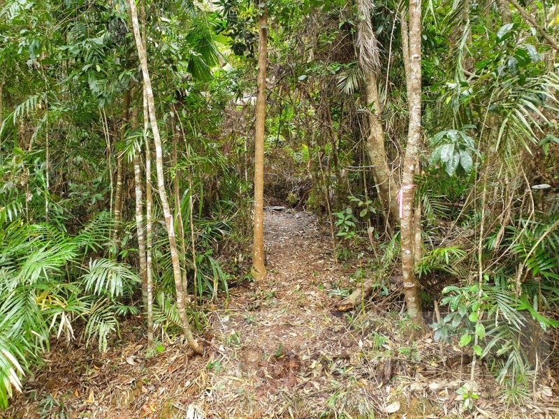 27 Cape Trib Road, Kimberley, Daintree QLD 4873