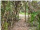 27 Cape Trib Road, Kimberley, Daintree QLD 4873
