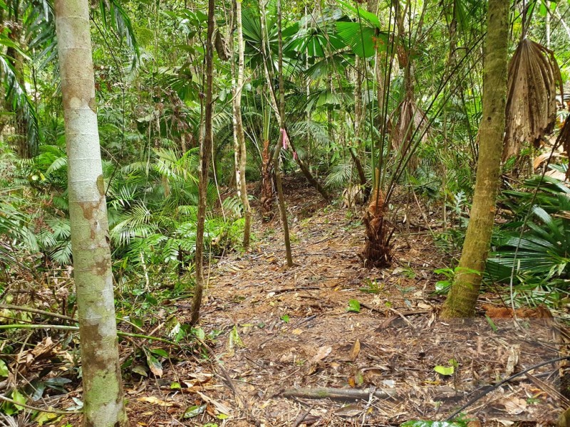 27 Cape Trib Road, Kimberley, Daintree QLD 4873