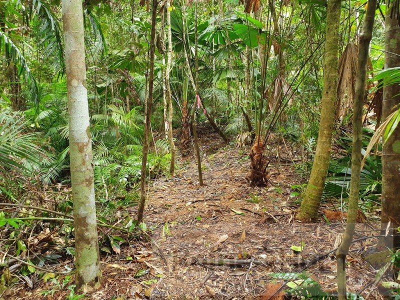 27 Cape Trib Road, Kimberley, Daintree QLD 4873