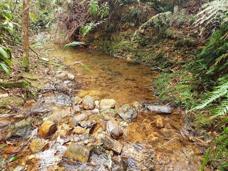 18 Thornton Peak Drive, Daintree QLD 4873