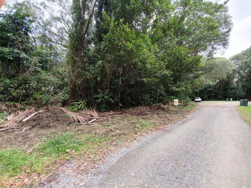 18 Thornton Peak Drive, Daintree QLD 4873