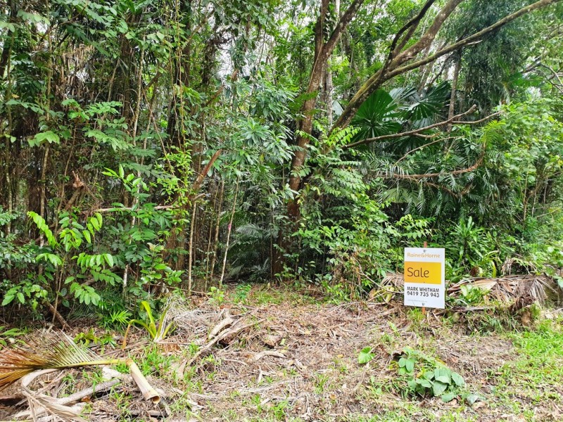 18 Thornton Peak Drive, Daintree QLD 4873