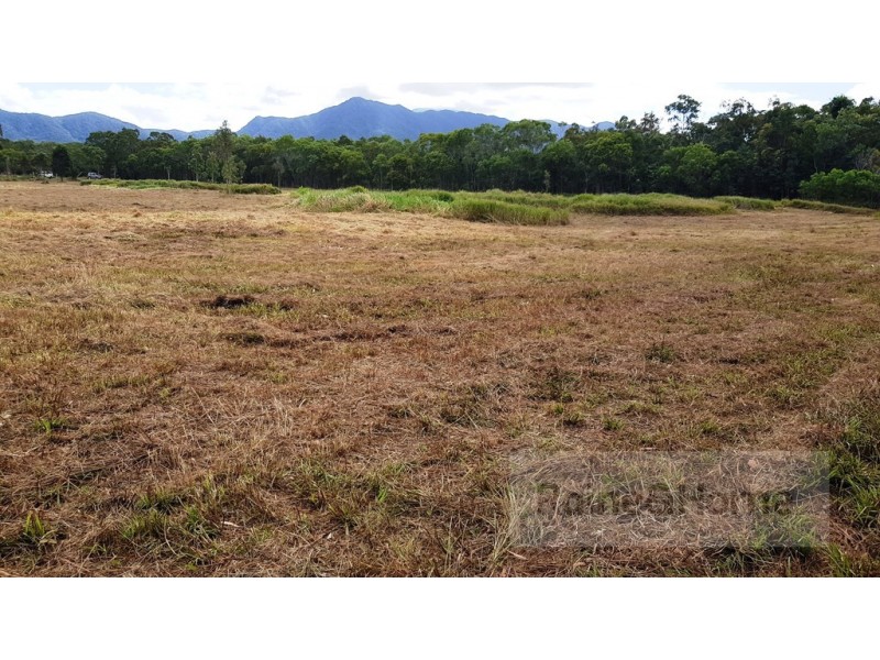 2629 Rossville Bloomfield Road, Bloomfield QLD 4895