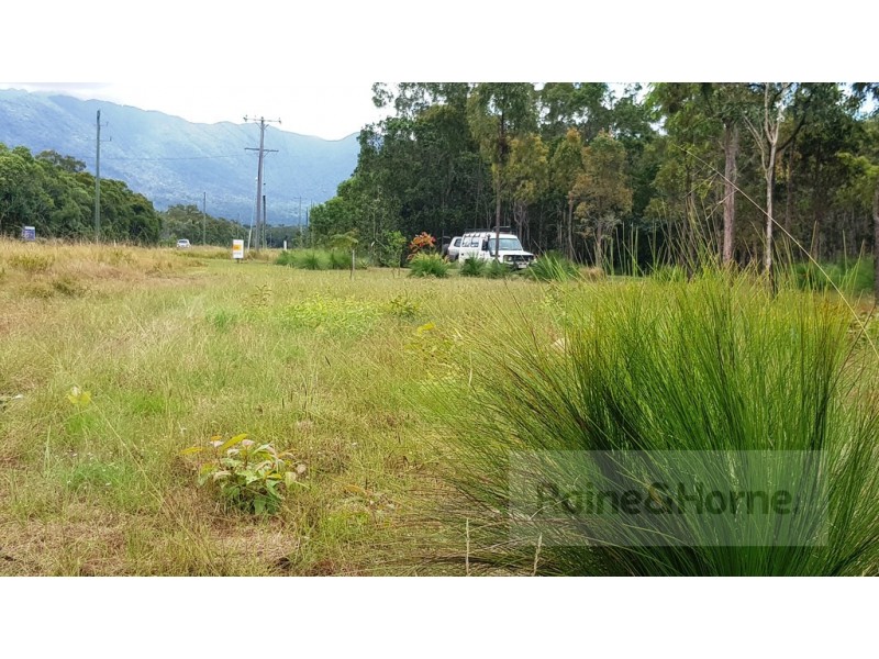 2629 Rossville Bloomfield Road, Bloomfield QLD 4895