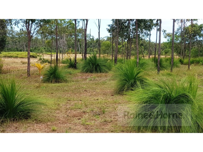 2629 Rossville Bloomfield Road, Bloomfield QLD 4895