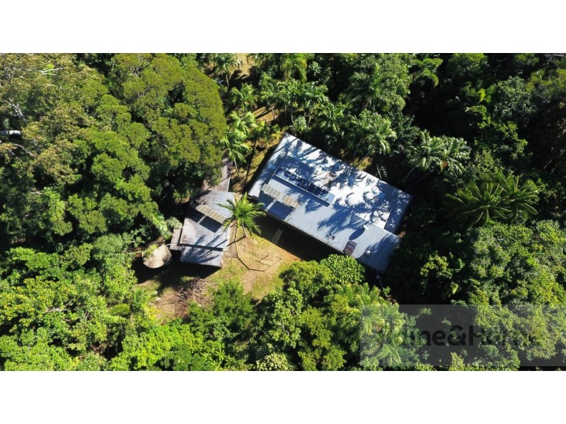 51 Wattle Close, Cow Bay, Daintree QLD 4873