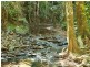 51 Wattle Close, Cow Bay, Daintree QLD 4873