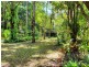 51 Wattle Close, Cow Bay, Daintree QLD 4873