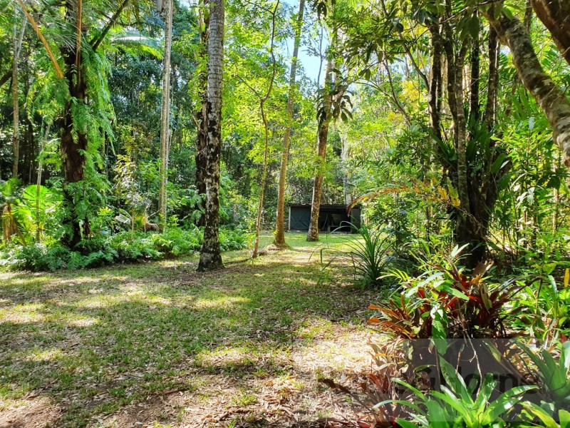 51 Wattle Close, Cow Bay, Daintree QLD 4873