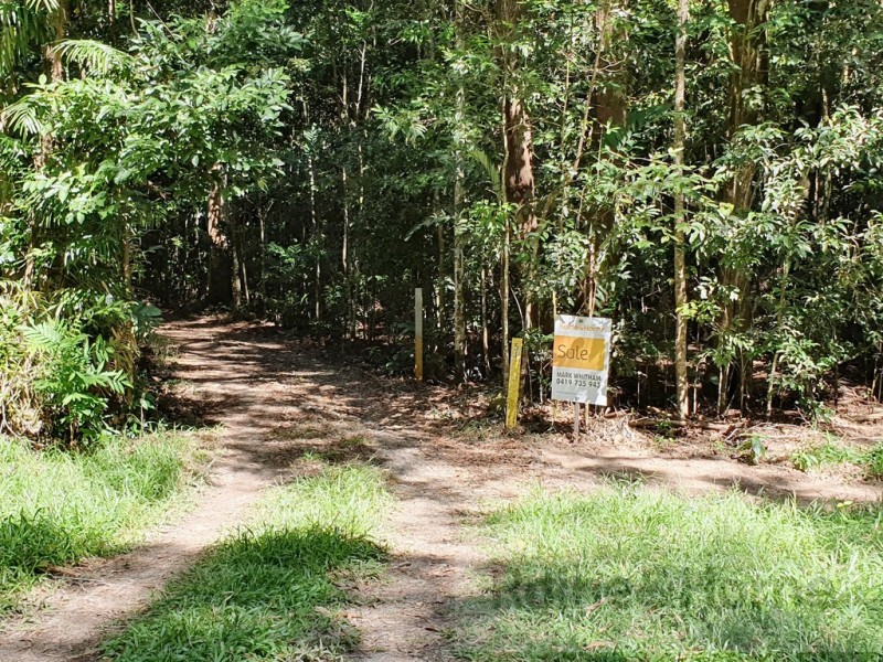 51 Wattle Close, Cow Bay, Daintree QLD 4873
